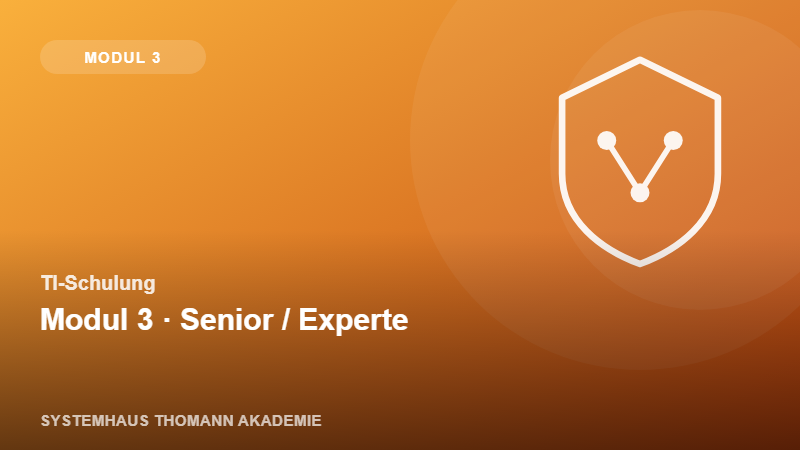 TI-Schulung – Modul 3: TI Senior / Experte