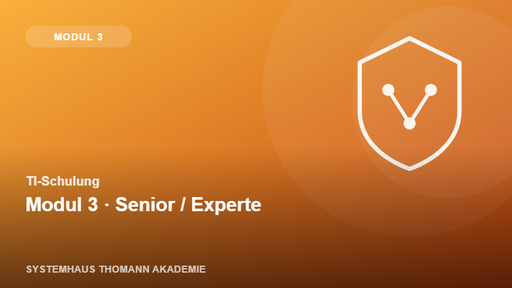 TI-Schulung – Modul 3: TI Senior / Experte